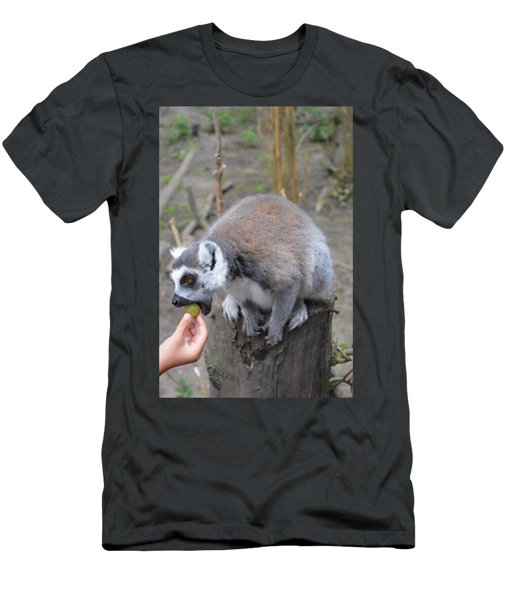 Ring Tailed Lemurs 10 Les Classics T-Shirt