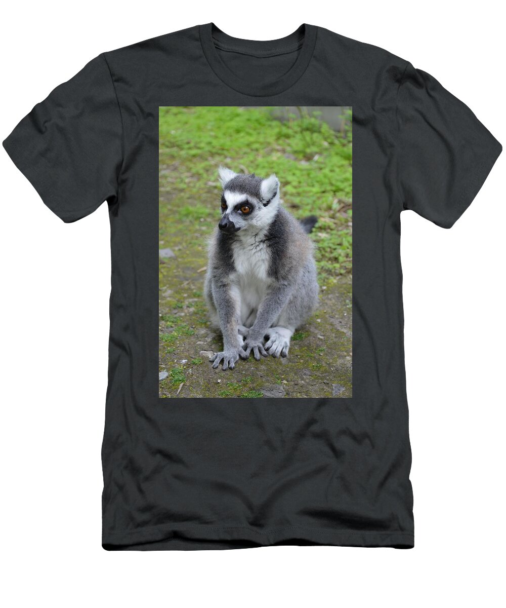 Ring Tailed Lemurs 2 Les Classics T-Shirt