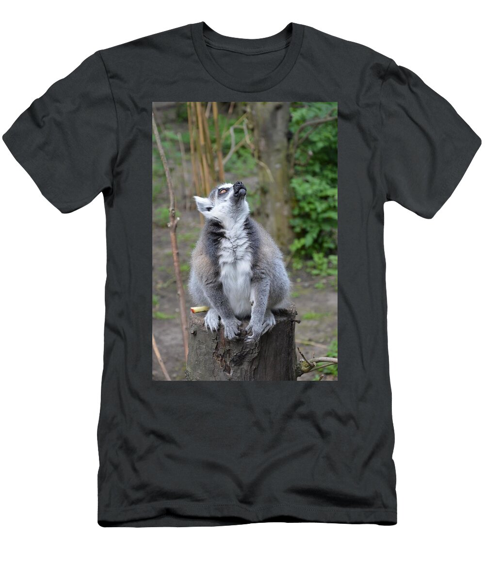 Ring Tailed Lemurs 3 Les Classics T-Shirt