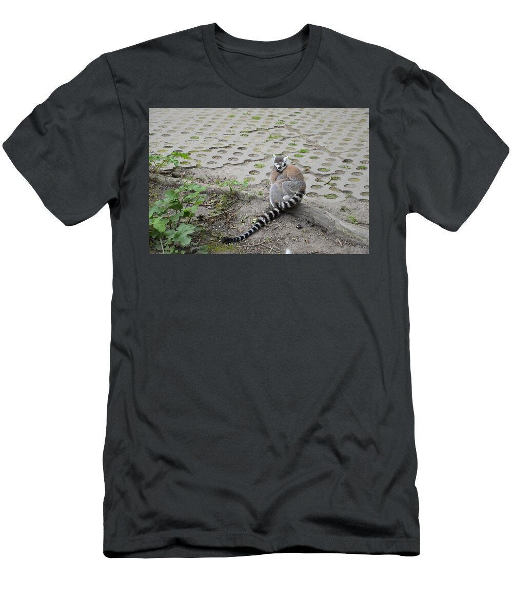 Ring Tailed Lemurs 4 Les Classics T-Shirt
