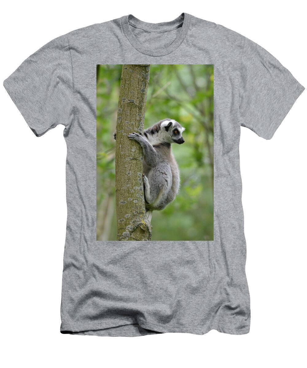 Ring Tailed Lemurs 6 Les Classics T-Shirt
