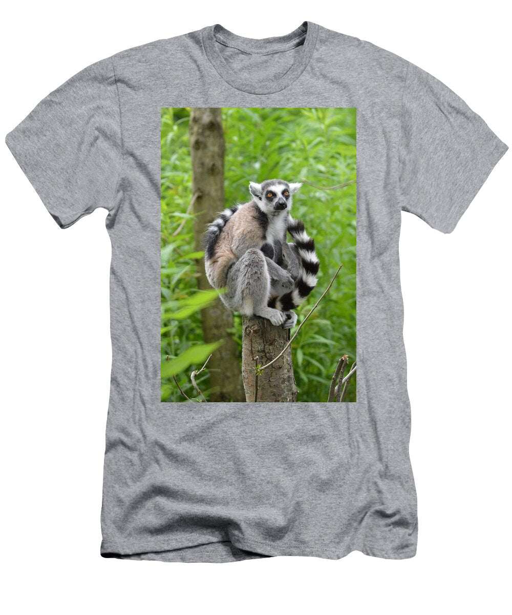 Ring Tailed Lemurs 7 Les Classics T-Shirt