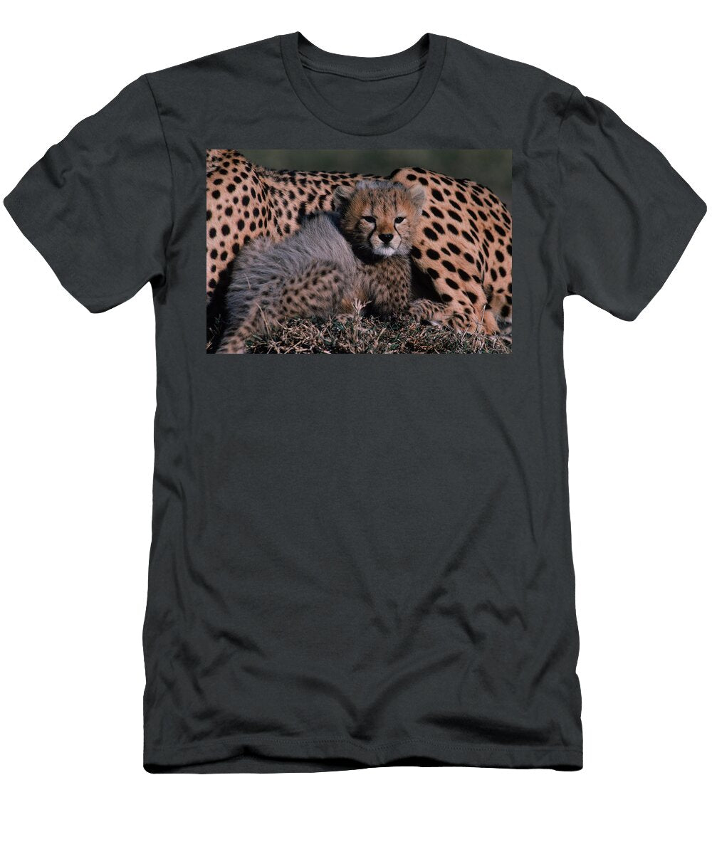 Young Cheetah Cub and Mother Kenya Robert Caputo T-Shirt